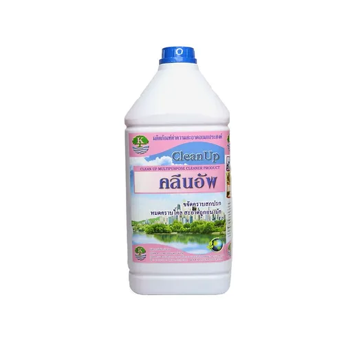 คลีนอัพ