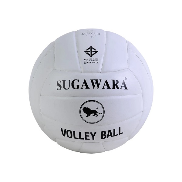 วอลเลย์บอล สิงห์ สีขาว