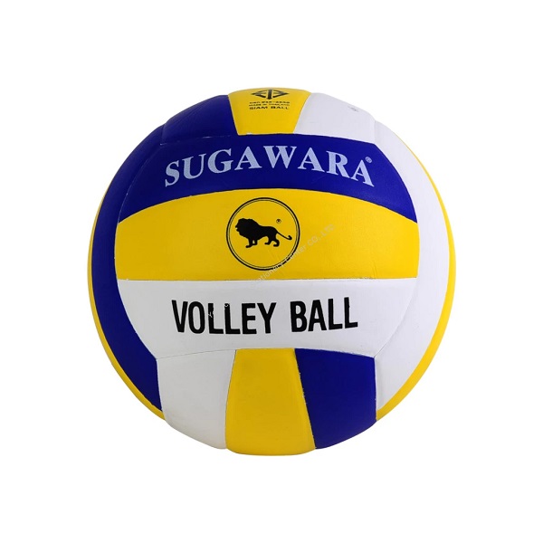 วอลเลย์บอล สิงห์ สี