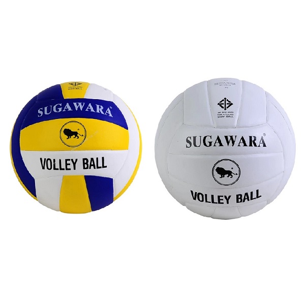 สิงห์ วอลเลย์บอล